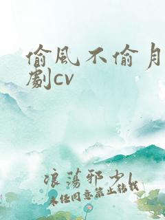 偷风不偷月有声剧cv