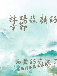 林阳苏颜的最新章节