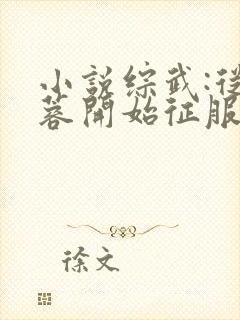 小说综武:从黄蓉开始征服