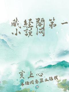 藏经阁第一版主小说网