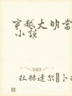 穿越大明当崇祯 小说