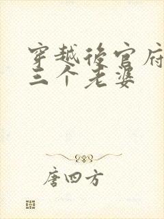 穿越后官府发了三个老婆