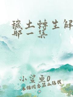 秽土转生解除是哪一集