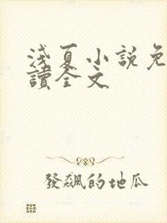 浅夏小说免费阅读全文
