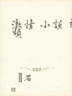 激情 小说 视频