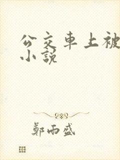 公交车上被玩弄小说