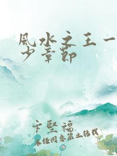 风水之王一共多少章节