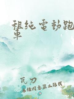 租纯电动跑网约车