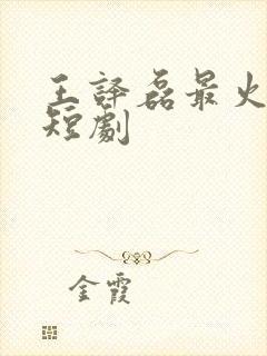 王译磊最火十部短剧