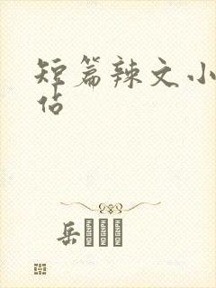 短篇辣文小说网站