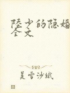 陆少的隐婚罪妻全文