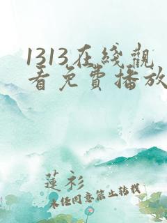 1313在线观看免费播放电视剧