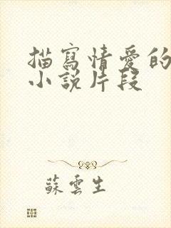 描写情爱的言情小说片段