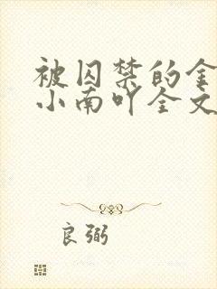 被囚禁的金丝雀小南吖全文免费阅读笔趣阁