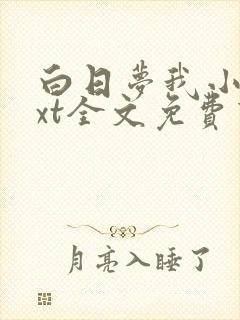 白日梦我小说txt全文免费下载