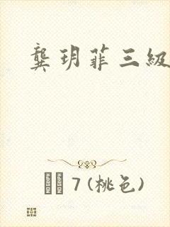 龚玥菲三级