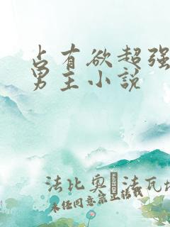 占有欲超强的双男主小说