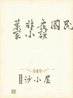 叶非夜国民带回家小说