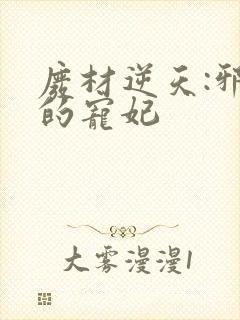 废材逆天:邪王的宠妃