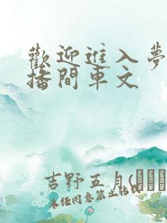 欢迎进入梦魇直播间车文