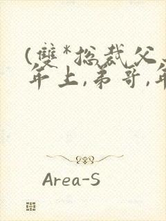 (双*总裁父子年上,弟哥,年下)小说