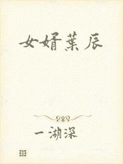 女婿叶辰