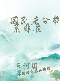 国民老公带回家 叶非夜