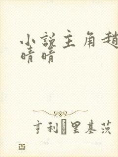 小说主角赵旭李晴晴