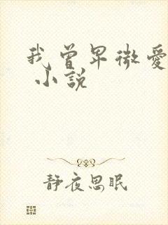 我曾卑微爱过你 小说