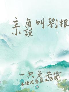 主角叫刘根来的小说