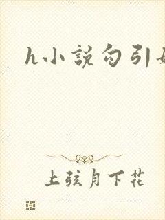 h小说勾引姐夫