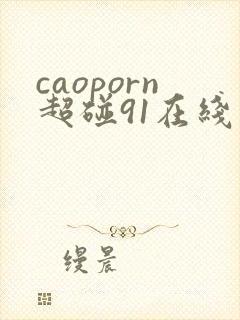 caoporn超碰91在线
