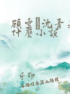 顾云玦沈青晏是什么小说