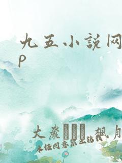 九五小说网app