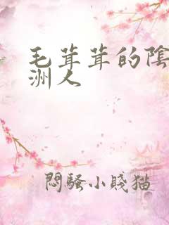毛茸茸的阴户亚洲人