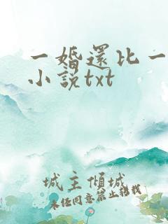 一婚还比一婚高小说txt