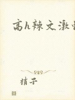 高h辣文激情