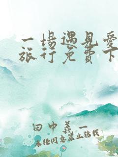一场遇见爱情的旅行免费下载