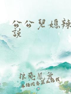 公公儿媳辣文小说