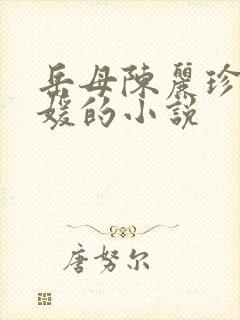 岳母陈丽珍,冯媛的小说