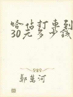 哈站打车到机场30元多少钱 哈站打车到机场30元多少钱
