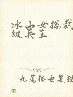 冰山女总裁的超级兵王