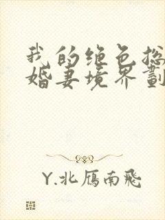 我的绝色总裁未婚妻境界划分