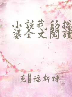 小说我的总裁老婆全文阅读