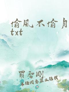 偷风不偷月北南txt