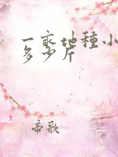 一亩地种小麦产多少斤