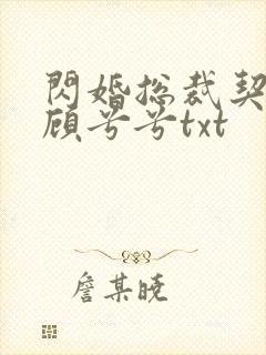 闪婚总裁契约妻顾兮兮txt