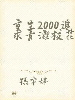 重生2000追求青涩校花同桌开始免费阅读正版