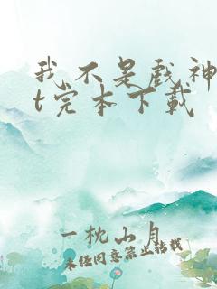 我不是戏神txt完本下载