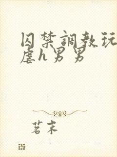 囚禁调教玩物凌虐h男男